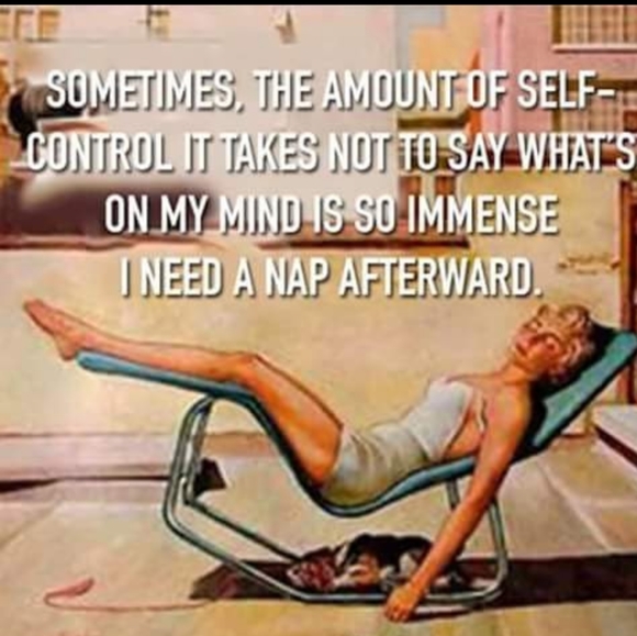 Meet your Posher, Dacia - Picture 6 of 8